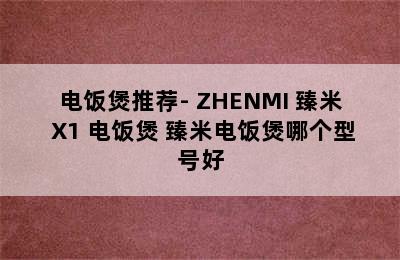 电饭煲推荐- ZHENMI 臻米 X1 电饭煲 臻米电饭煲哪个型号好